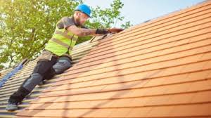 Best Rubber Roofing (EPDM, TPO)  in Warsaw, MO