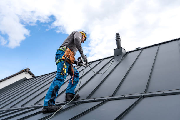 Best Skylight Installation and Repair  in Warsaw, MO